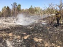firefighters working vegetation fire in river bottom
