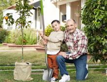 Planting a tree 