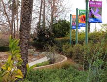 Water Wise Garden 