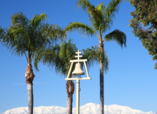 Palm trees and raincross symbol