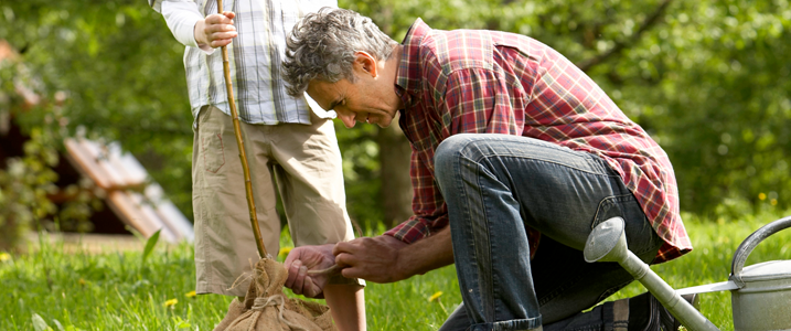 man planting tree